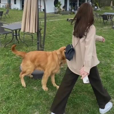不沉的骨头